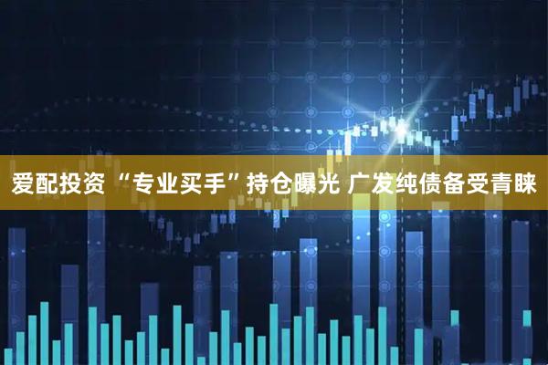 爱配投资 “专业买手”持仓曝光 广发纯债备受青睐