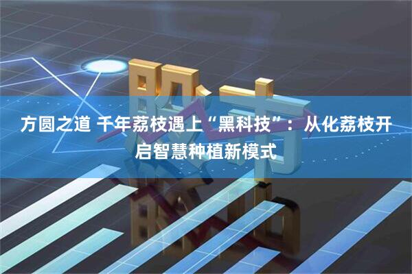 方圆之道 千年荔枝遇上“黑科技”：从化荔枝开启智慧种植新模式