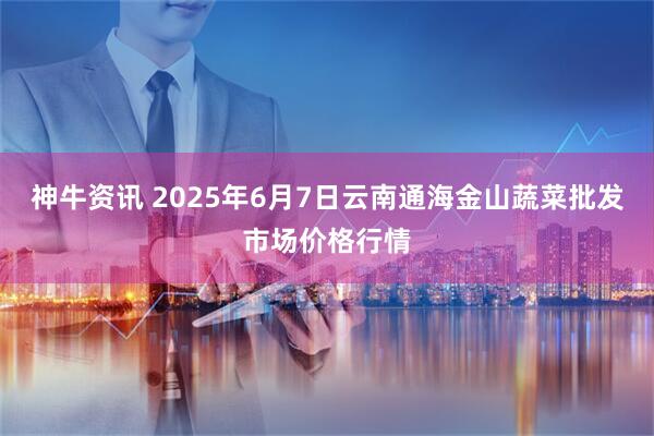 神牛资讯 2025年6月7日云南通海金山蔬菜批发市场价格行情