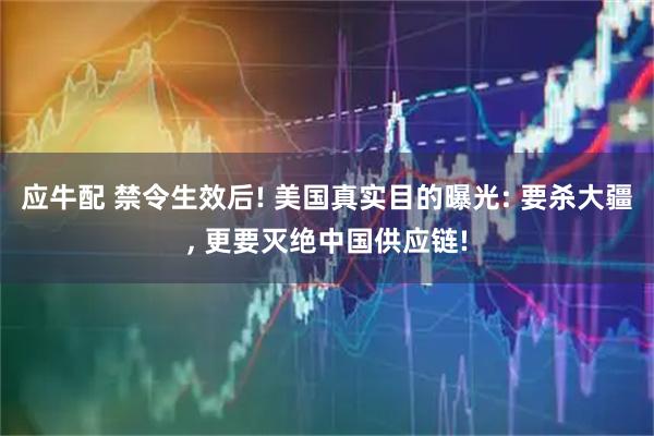 应牛配 禁令生效后! 美国真实目的曝光: 要杀大疆, 更要灭绝中国供应链!